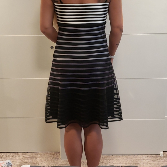 WHBM Dress NWT - Picture 13 of 13